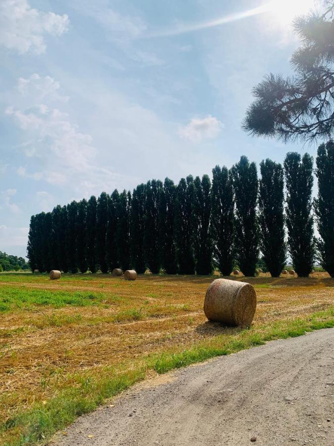 Appartamento Tra Verde E Citta Bologna Eksteriør billede