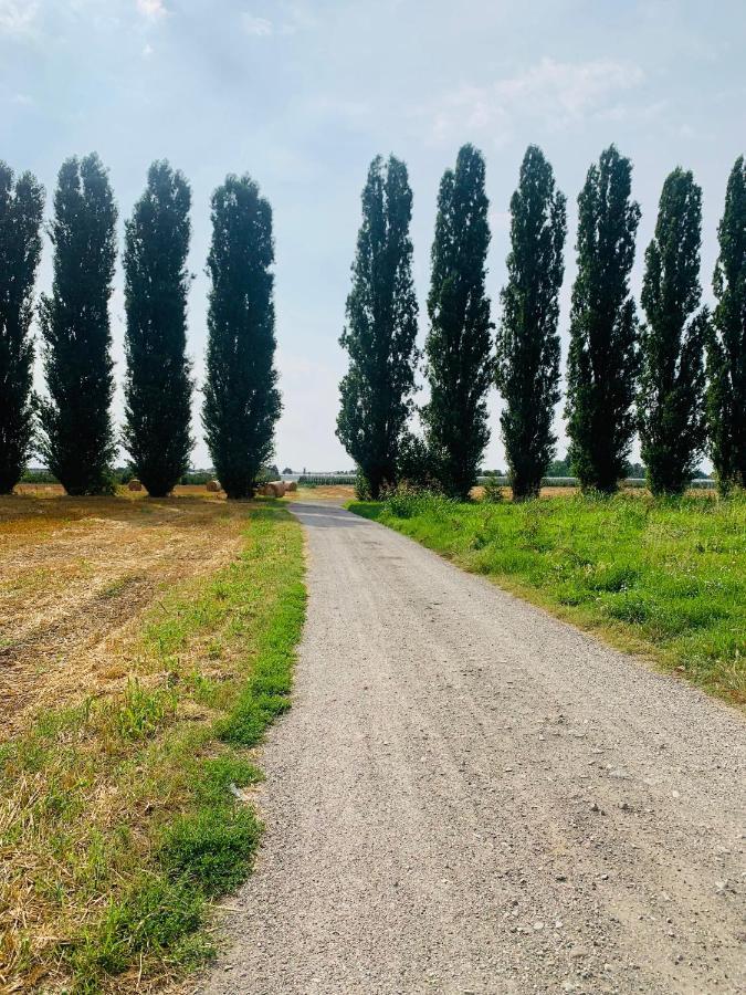 Appartamento Tra Verde E Citta Bologna Eksteriør billede