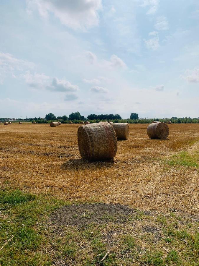 Appartamento Tra Verde E Citta Bologna Eksteriør billede