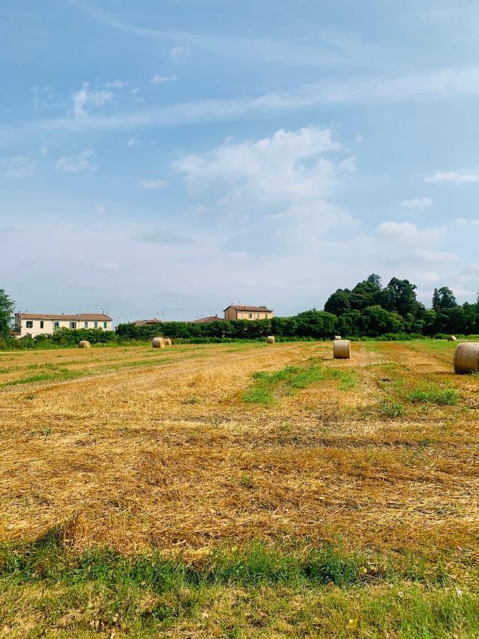 Appartamento Tra Verde E Citta Bologna Eksteriør billede